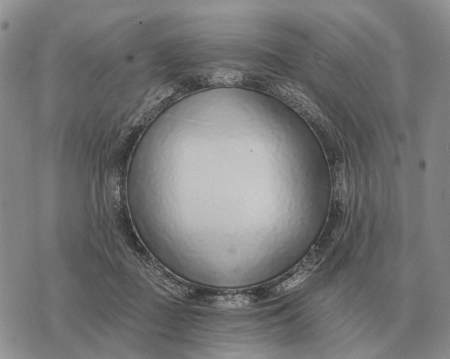 X0000072980363200608111747