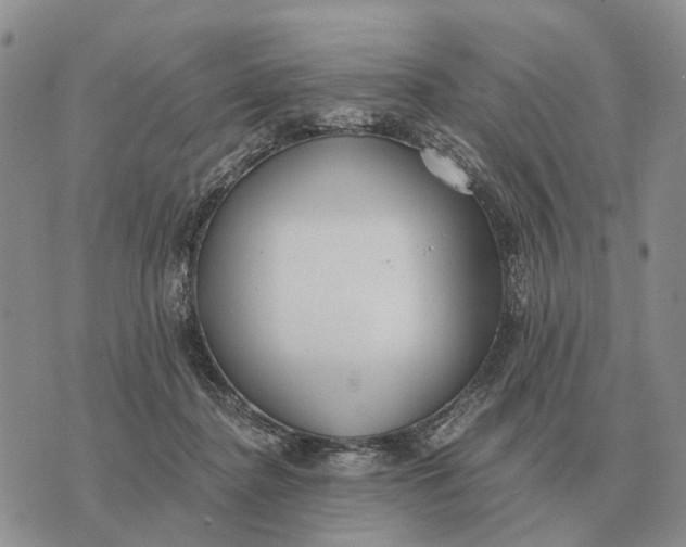 X0000072980364200608111747