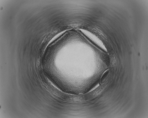 X0000072980365200608111747