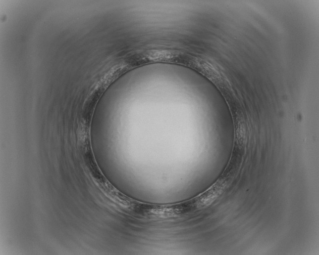 X0000072980367200608111747