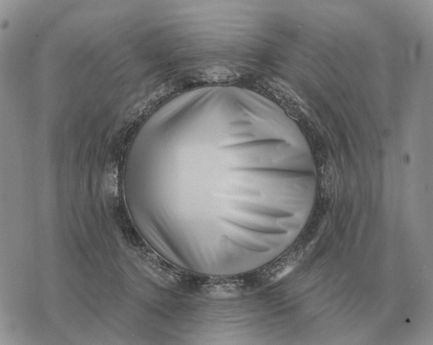 X0000072980368200608111747