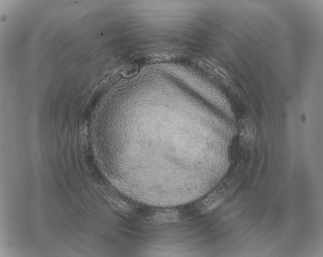 X0000072980369200608111747