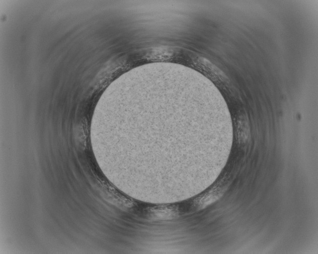 X0000072980370200608111747