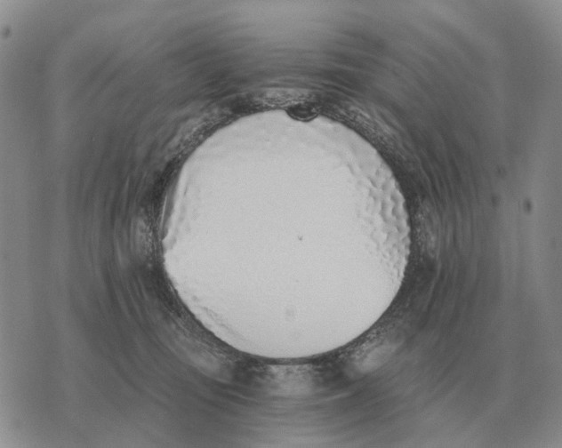 X0000072980371200608111747