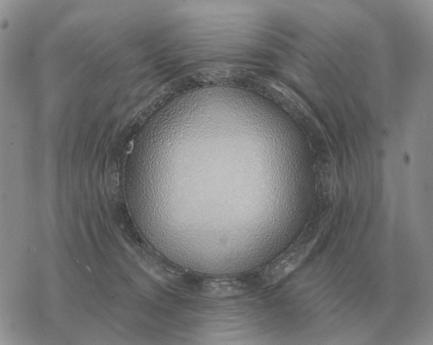 X0000072980372200608111747