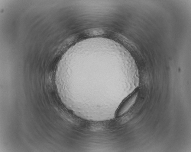 X0000072980373200608111747