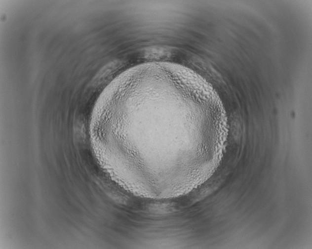 X0000072980375200608111747