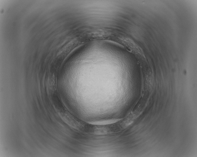 X0000072980376200608111747