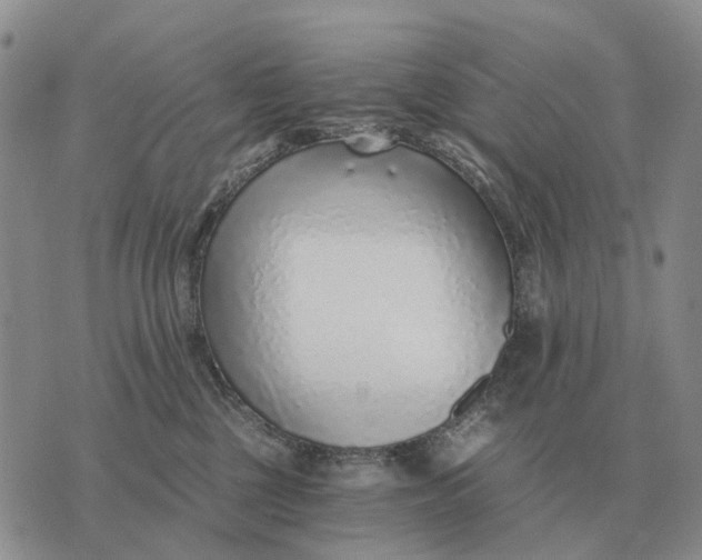 X0000072980377200608111747