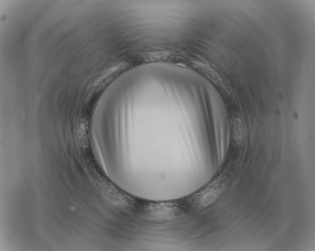 X0000072980378200608111747