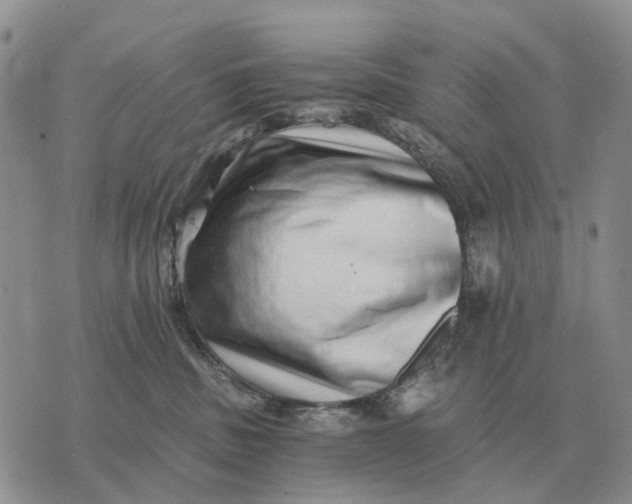 X0000072980379200608111747