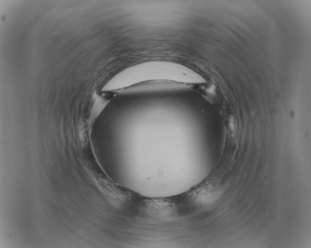 X0000072980380200608111747