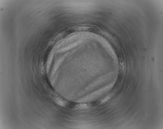 X0000072980381200608111747