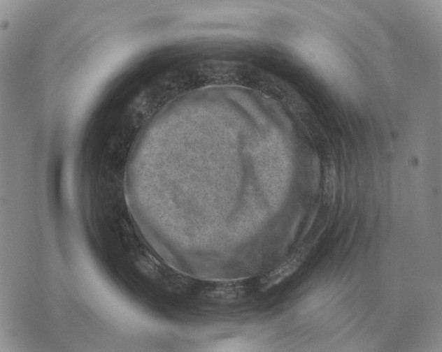 X0000072980383200608111747