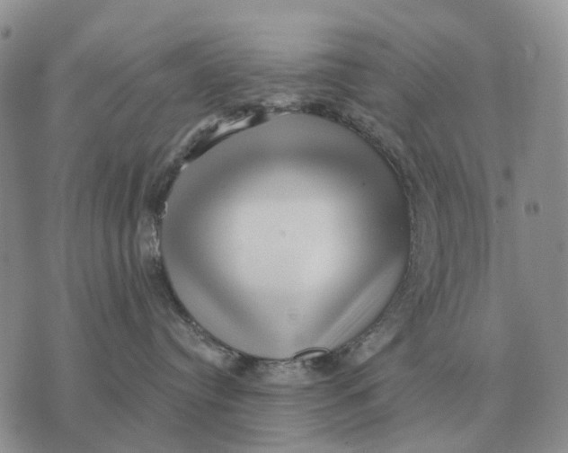 X0000072980384200608111747