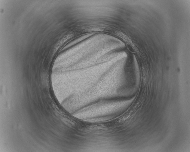 X0000072980386200608111747