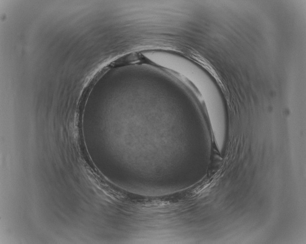 X0000072980387200608111747