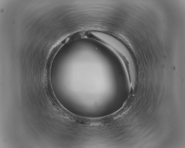 X0000072980388200608111747