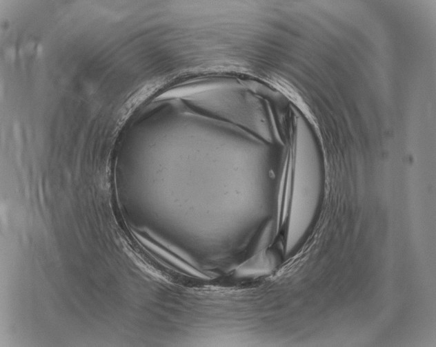 X0000072980389200608111747