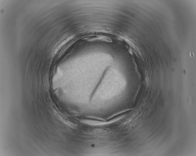 X0000072980390200608111747