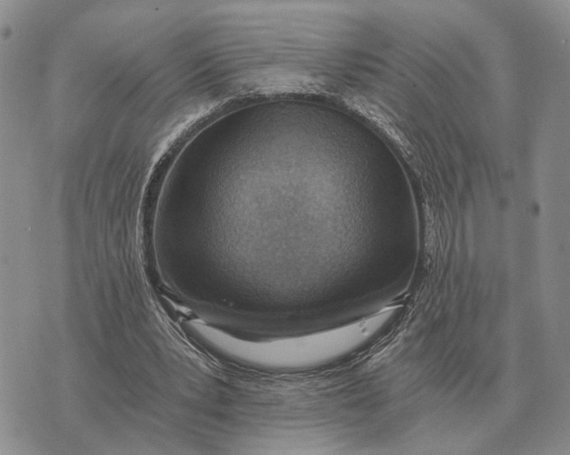 X0000072980391200608111747