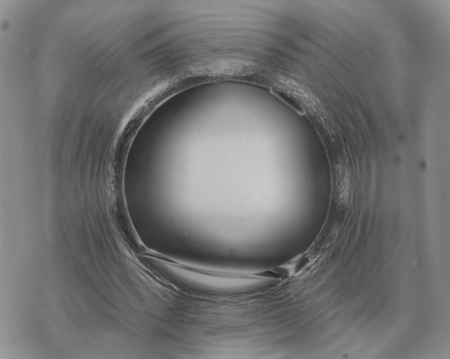 X0000072980392200608111746