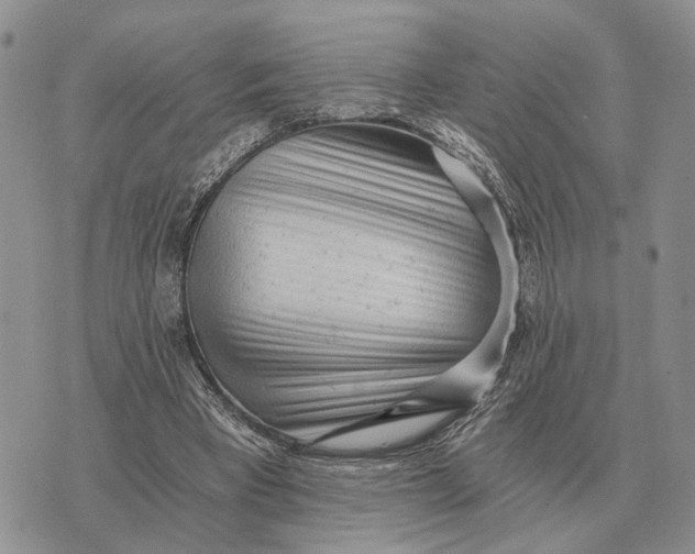 X0000072980393200608111746