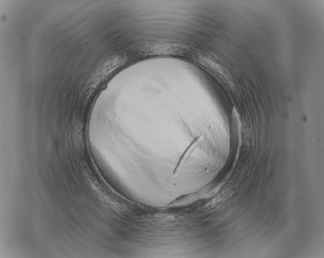 X0000072980394200608111746