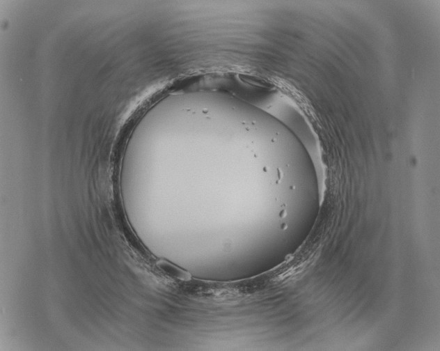 X0000072980395200608111746