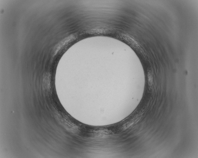 X0000072980396200608111746