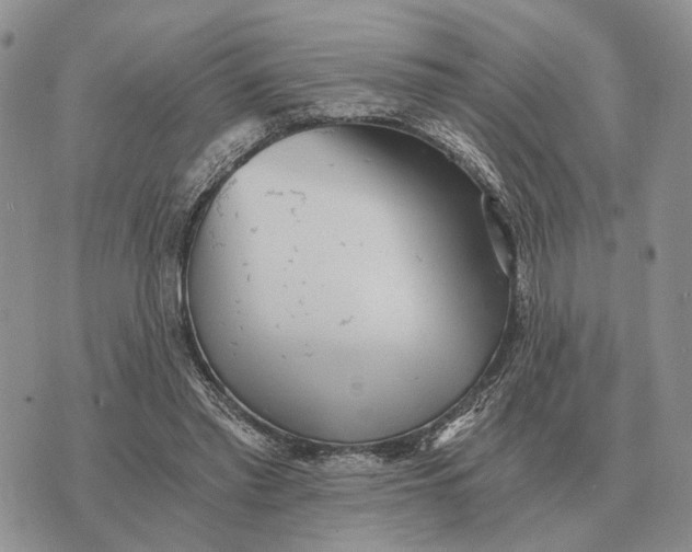 X0000072980397200608111746