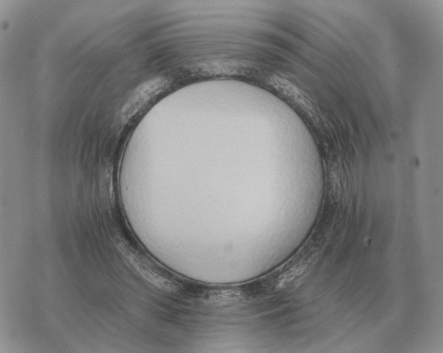 X0000072980398200608111746