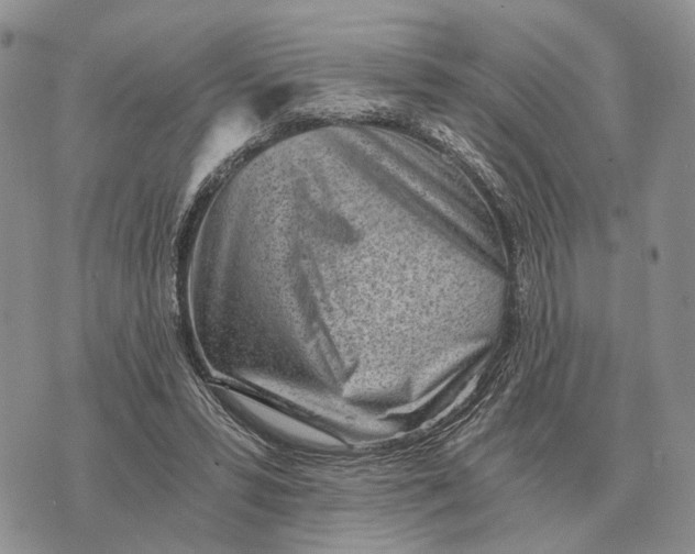 X0000072980399200608111746