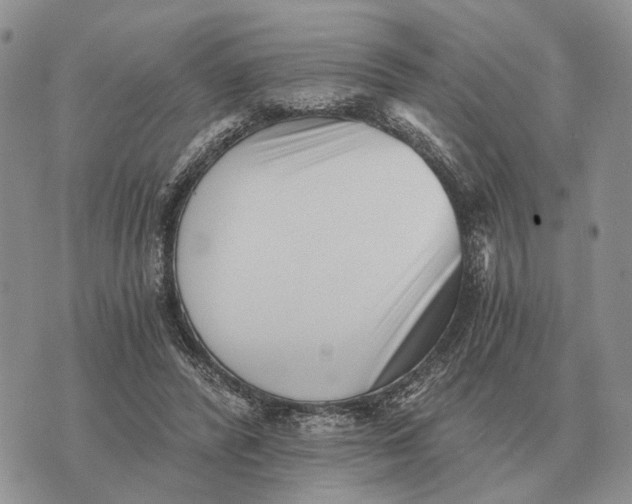 X0000072980400200608111746