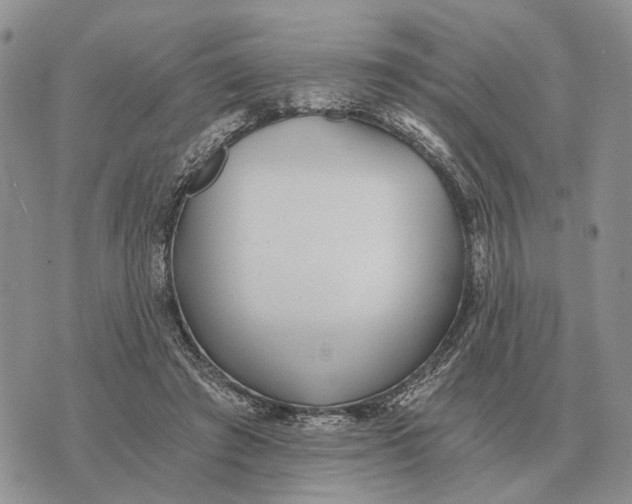 X0000072980401200608111746