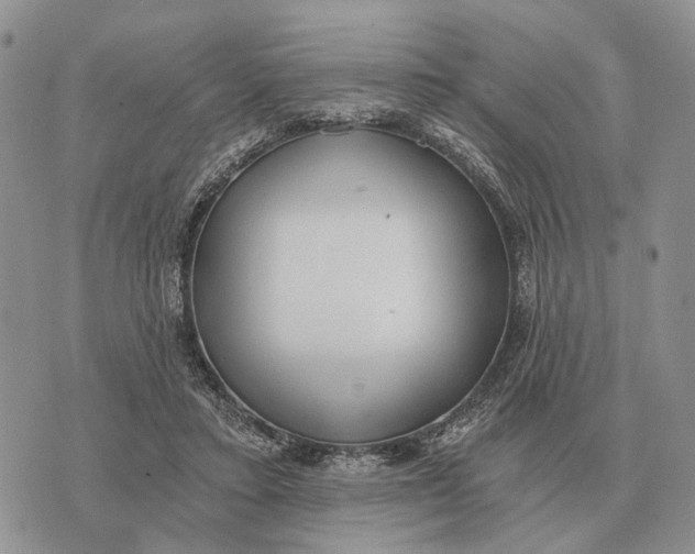 X0000072980403200608111746