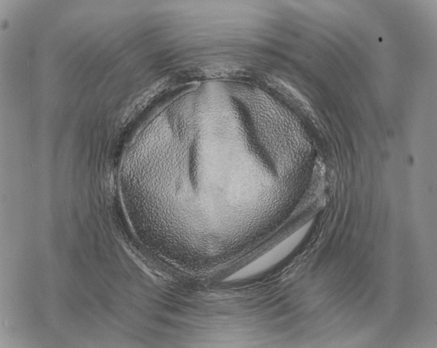 X0000072980405200608111746