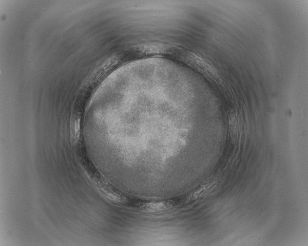 X0000072980406200608111746