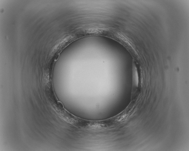 X0000072980407200608111746