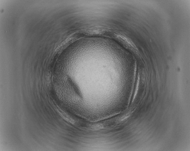 X0000072980409200608111746