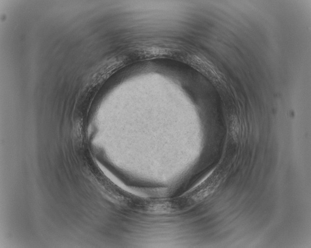 X0000072980410200608111746