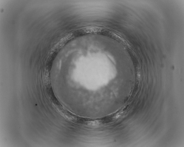 X0000072980411200608111746