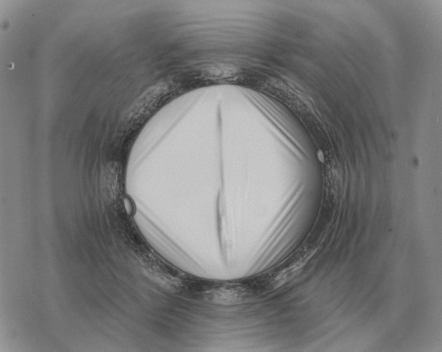 X0000072980412200608111746