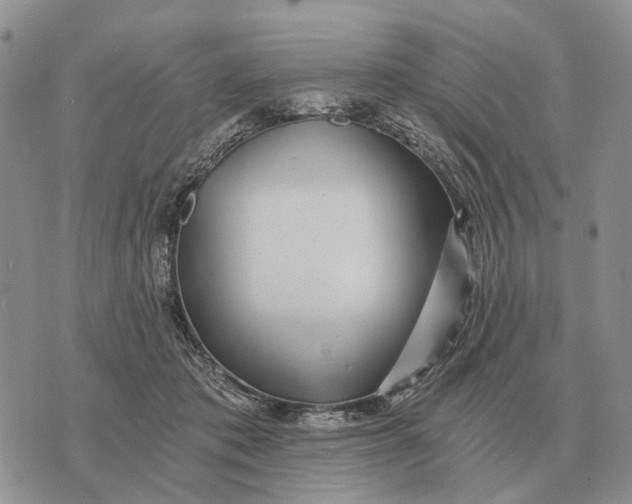 X0000072980413200608111746