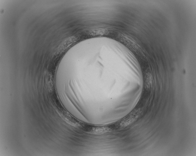 X0000072980414200608111746