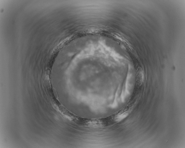 X0000072980415200608111746