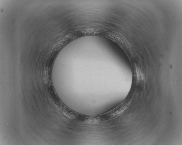 X0000072980416200608111746