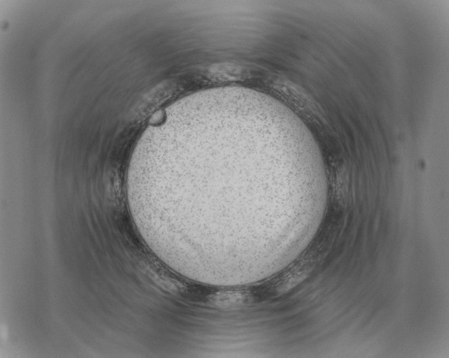 X0000072980418200608111746