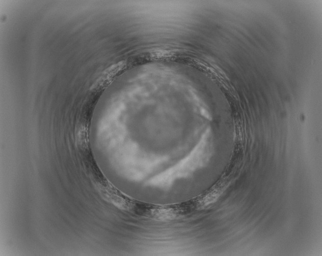 X0000072980419200608111746