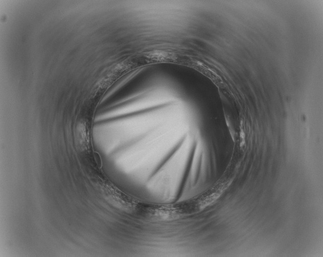 X0000072980420200608111746